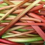 Rhubarb