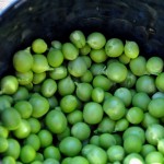 peas