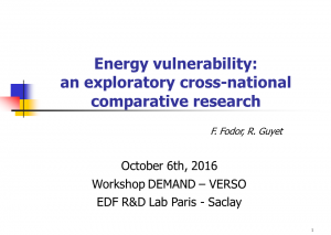 Energy vulnerability: an exploratory cross-national comparative research Ferenc Fodor and Rachel Guyet